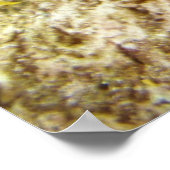 Seadragon Poster (Ecke)