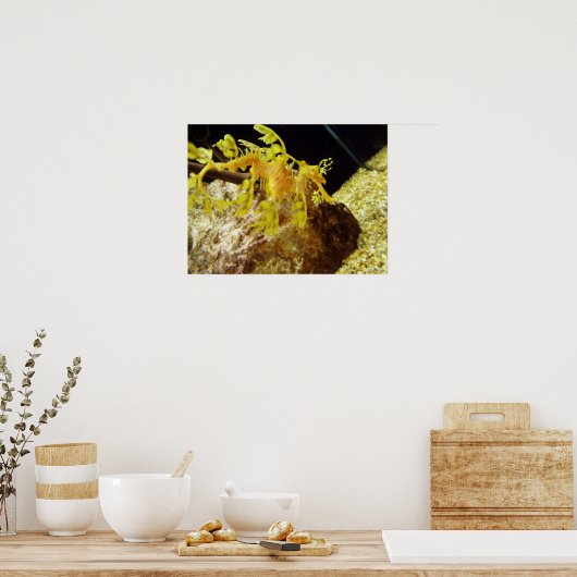 Seadragon Poster (Küche)