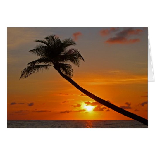 Seafoam (Vorderseite (Horizontal))