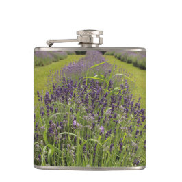 Seafoam Lavender Farm Flachmann