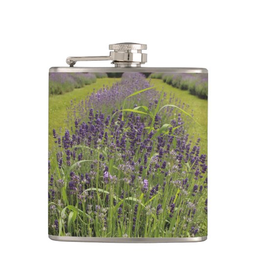 Seafoam Lavender Farm Flachmann (Vorderseite)