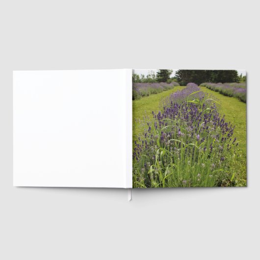 Seafoam Lavender Farm Gästebuch (Voll)