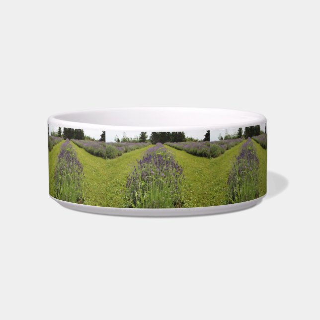 Seafoam Lavender Farm Haustier-Schüssel Napf (Vorderseite)