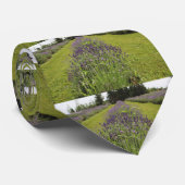 Seafoam Lavender Farm Krawatte (Gerollt)