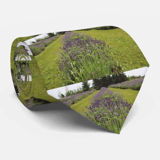 Seafoam Lavender Farm Krawatte (Gerollt)