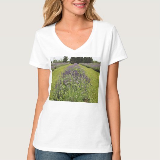 Seafoam Lavender Farm T-Shirt (Vorderseite)