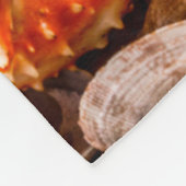 Seafood cuisine plate as an ocean gourmet dinner b fleecedecke (Ecke)