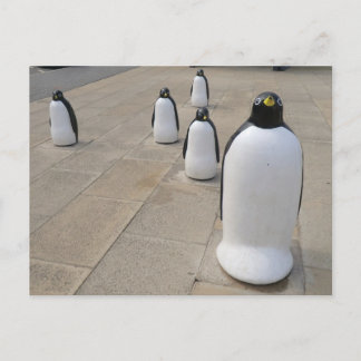 Seafront Penguins Postkarte