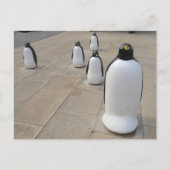Seafront Penguins Postkarte (Vorderseite)