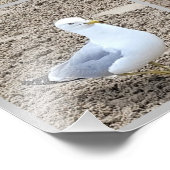 Seageln am Strand Fotodruck (Ecke)