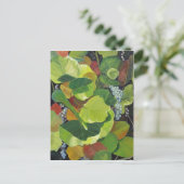 Seagrape Postkarte (Stehend Vorderseite)