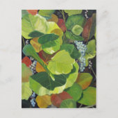 Seagrape Postkarte (Vorderseite)