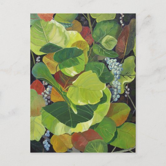 Seagrape Postkarte (Vorderseite)