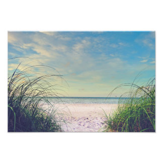 Seagrass On The Beach Print Fotodruck