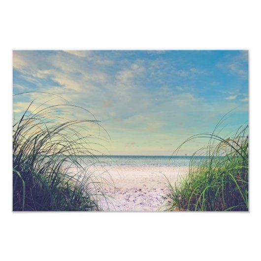 Seagrass On The Beach Print Fotodruck (Vorne)