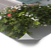 Seagreen Shutters Poster (Ecke)