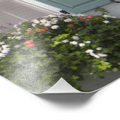 Seagreener Fensterläden Fotodruck (Ecke)