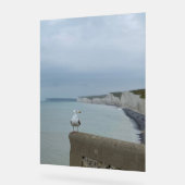 Seagul and Seven Sisters cliffs, Vereinigtes König Acrylschild (Winkel)