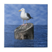 SEAGUL FLIESE (Vorderseite)