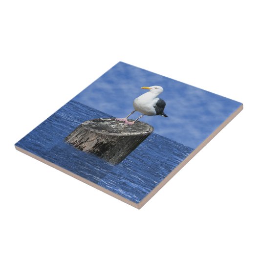 SEAGUL FLIESE (Seite)