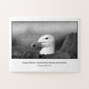 Seagul Nisting Puzzle
