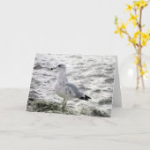 SEAGULARKARTE KARTE (Gelbe Blume)