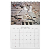 Seagulas und Beach Bird Landschaftskalender Foto Kalender (Feb 2027)