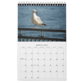 Seagulas und Beach Bird Landschaftskalender Foto Kalender (Mär 2026)