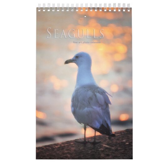 Seagulas und Beach Bird Landschaftskalender Foto Kalender (Titelbild)