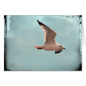 Seagull (Vorderseite (Horizontal))