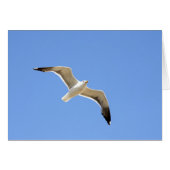 Seagull (Vorderseite (Horizontal))