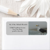 Seagull am Beach Foggy Day (Insitu)