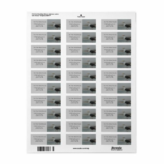 Seagull am Beach Foggy Day (Vorne)