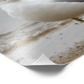 Seagull am Beach Foto Print 8x10 (Ecke)