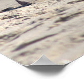 Seagull am Beach Poster (Ecke)
