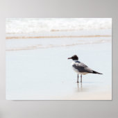 Seagull am Beach Poster (Vorne)