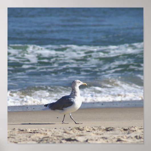 Seagull am Beach Poster (Vorne)