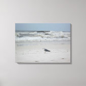 Seagull am Meer auf der Leinwand (Vorderseite)