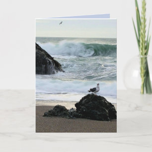 Seagull am Meer Karte