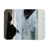 Seagull am Meer Magnet (Horizontal)