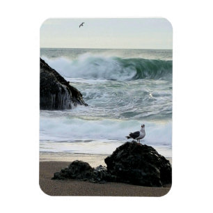 Seagull am Meer Magnet
