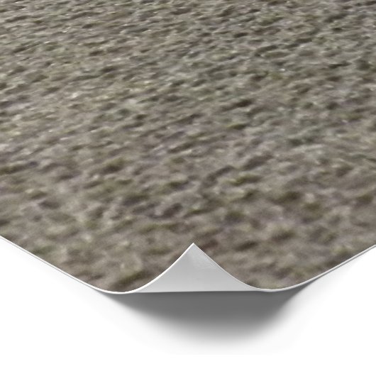 Seagull am Sandstrand Poster (Ecke)