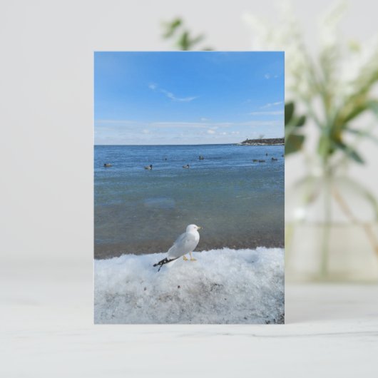 Seagull am See im Winter (Stehend Vorderseite)