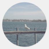 Seagull am See Runder Aufkleber (Vorderseite)