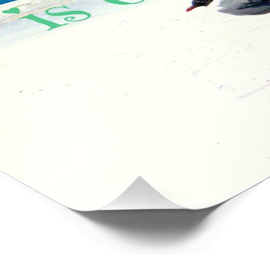 Seagull am Strand Fotodruck (Ecke)