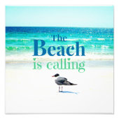 Seagull am Strand Fotodruck (Vorne)