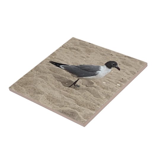 Seagull am Strand im Sand Fliese (Seite)