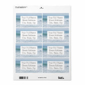 Seagull am Strand in Kalifornien (Vorne)