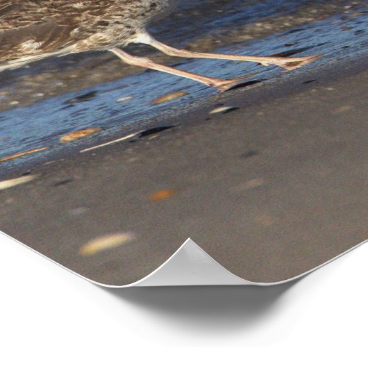 Seagull am Strand mit Wave Poster (Ecke)