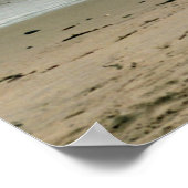 Seagull am Strand Poster (Ecke)